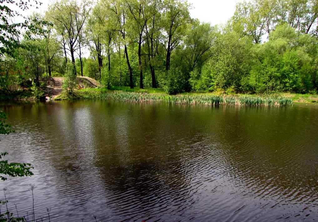 Dolina Lipinki Ajska w Świętochłowicach