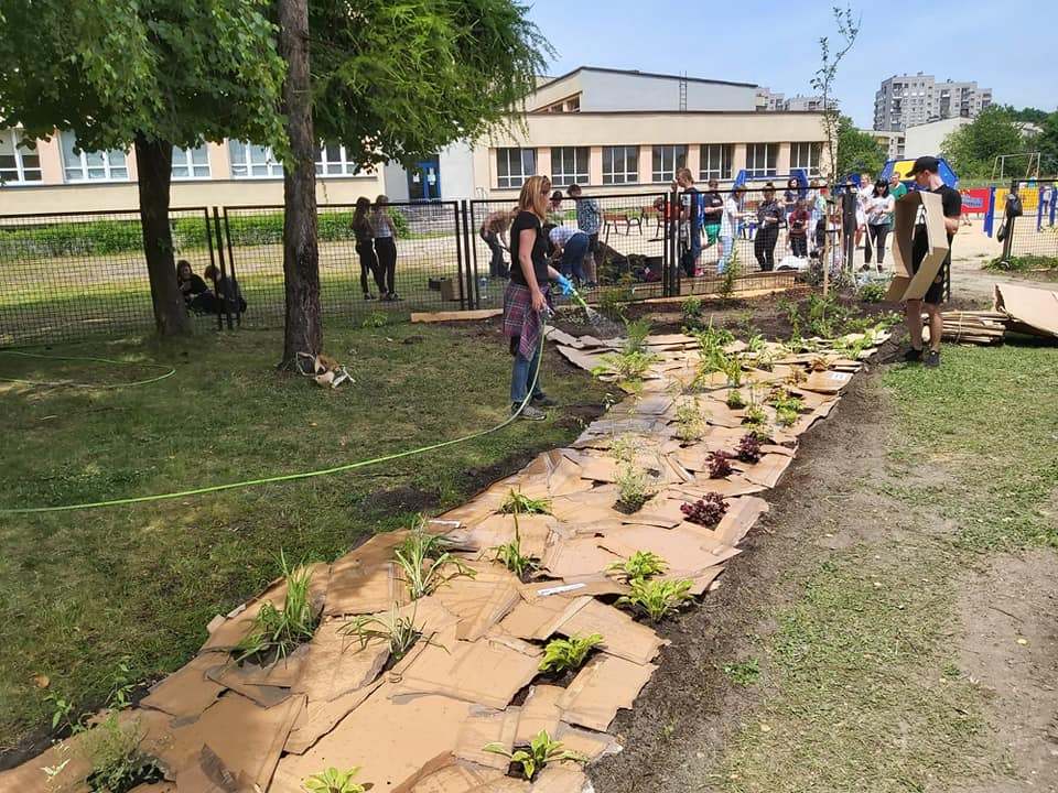 Nowy ogród powstaje na terenie Zespołu Szkół Ogólnokształcących w Chropaczowie 12