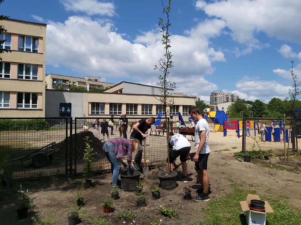 Nowy ogród powstaje na terenie Zespołu Szkół Ogólnokształcących w Chropaczowie 13