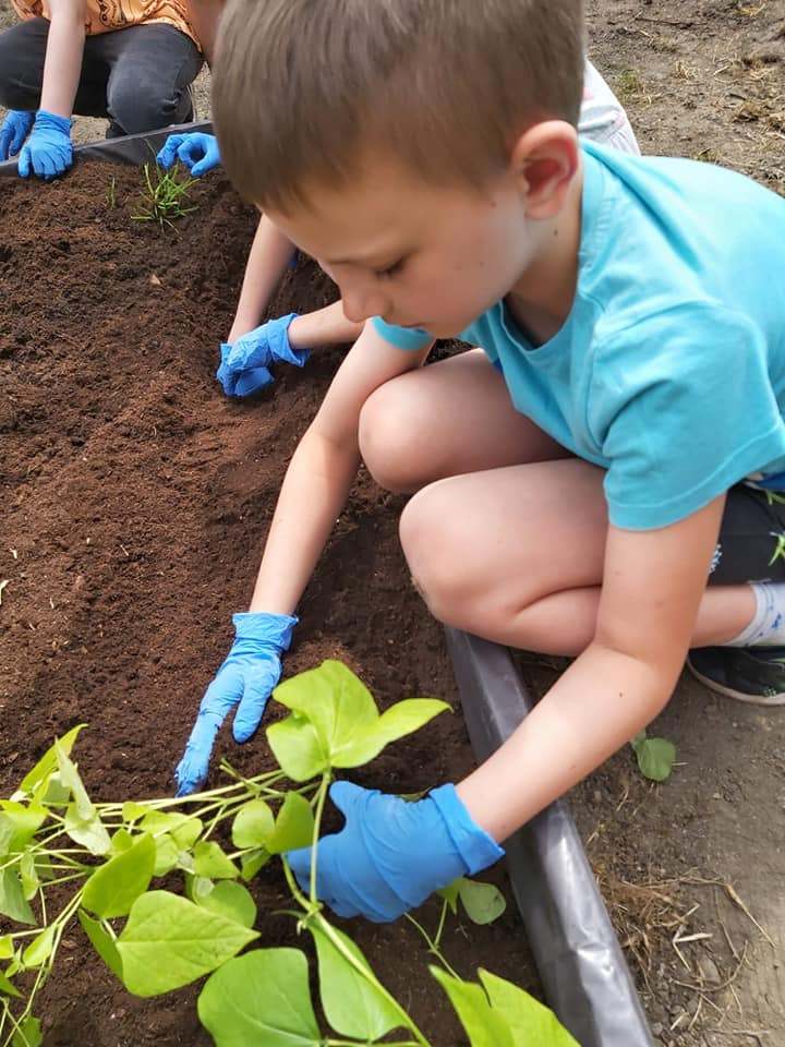 Nowy ogród powstaje na terenie Zespołu Szkół Ogólnokształcących w Chropaczowie 5