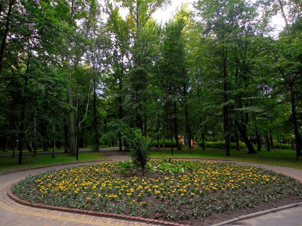 Park Heiloo w Świętochłowicach Piaśnikach